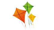 web design services